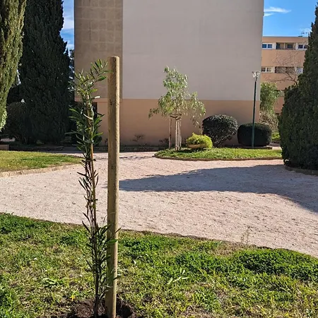 Avec Coin Nuit, 100 M De La Le Lavandou